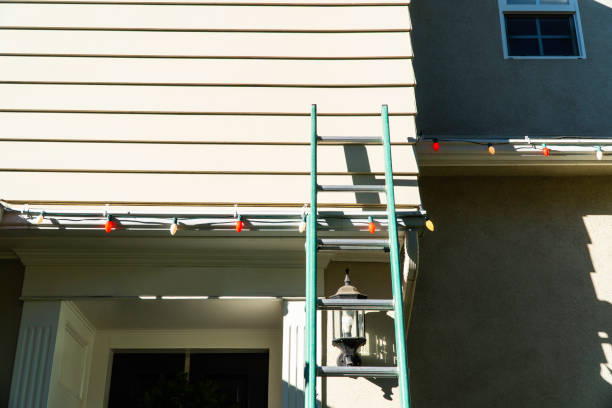 Best Vinyl Siding Installation  in Holland, MI